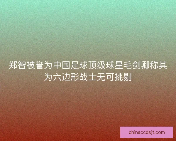 郑智被誉为中国足球顶级球星毛剑卿称其为六边形战士无可挑剔 郑智被誉为中国足球顶级球星毛剑卿称其为六边形战士无可挑剔