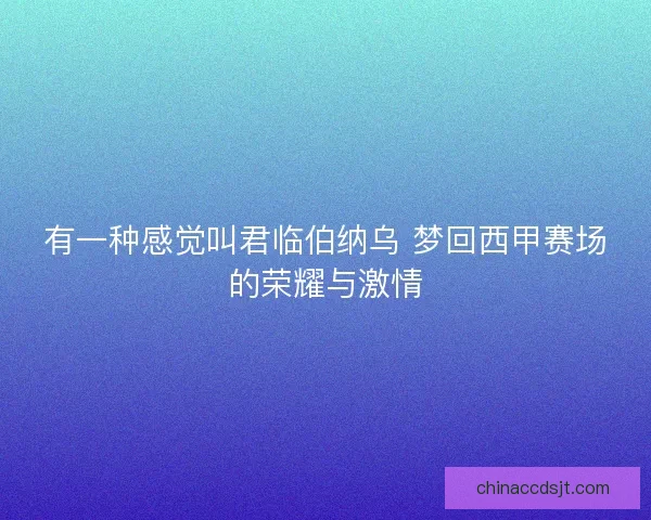 有一种感觉叫君临伯纳乌 梦回西甲赛场的荣耀与激情 有一种感觉叫君临伯纳乌 梦回西甲赛场的荣耀与激情