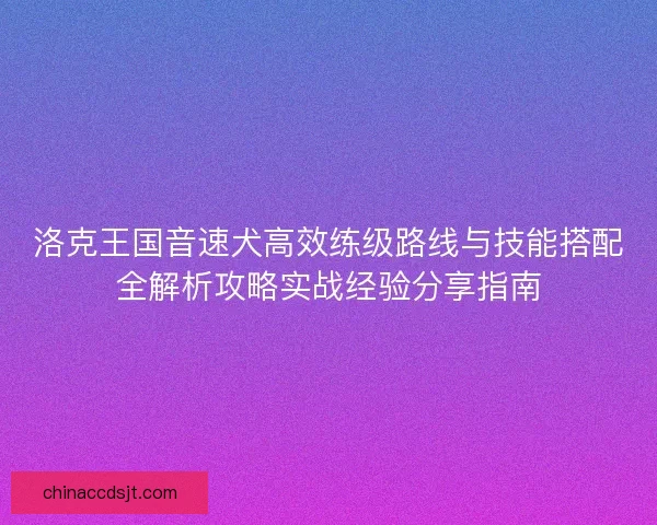 洛克王国音速犬高效练级路线与技能搭配全解析攻略实战经验分享指南